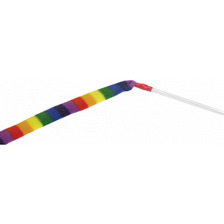 Charmeur de chat arc-en-ciel