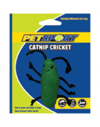 Cataire Cricket Vert