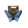 Papillon butterfly bleu wild life cat