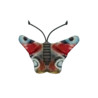 Papillon peacock wild life