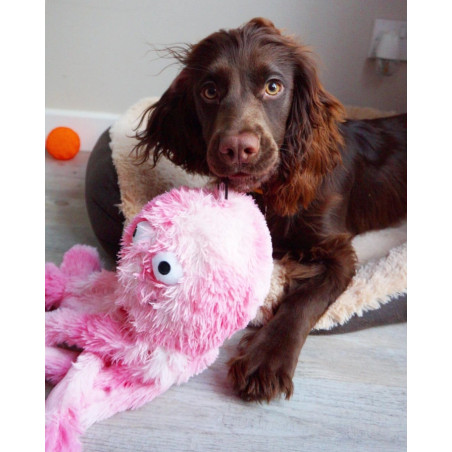 Gor pets reef octopus