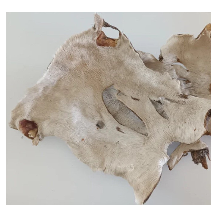 Peau de bœuf avec poils 200–250 g | Mastication chien