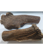 bois de cerf XXXL (environ 500g)