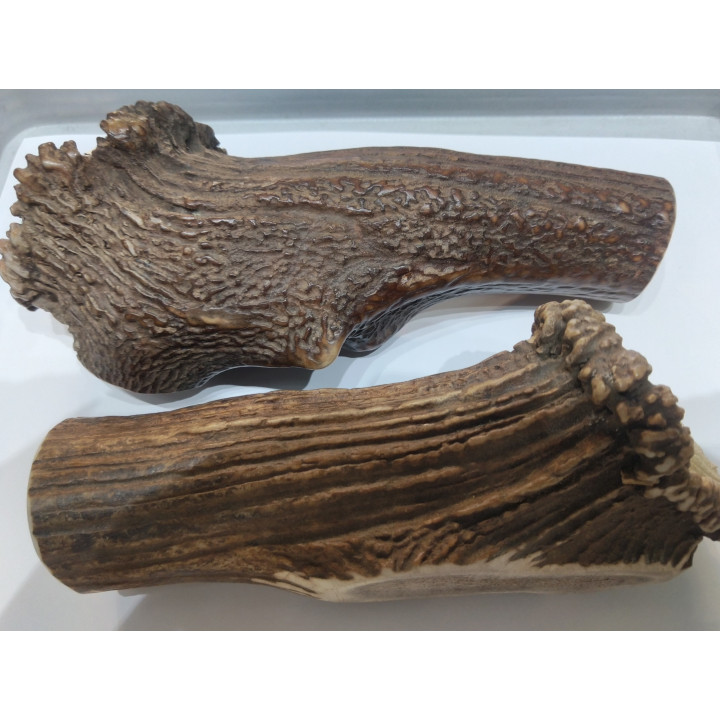 Bois de cerf XXXL 500 g | Mastication naturelle chien
