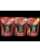 Recovery shake 500 g fastdog récupération