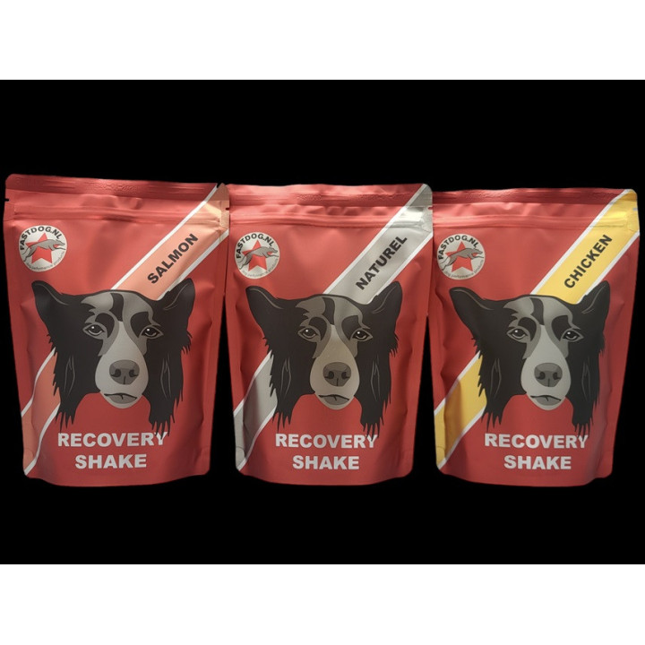 FastDog Recovery Shake 500 g | Récupération chien sportif