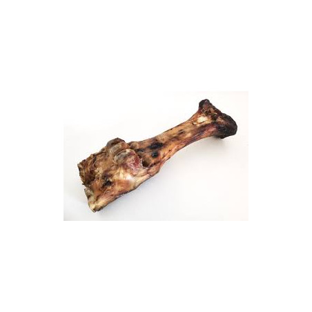 Jambe de bœuf