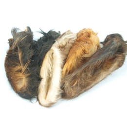 Oreille de Bœuf avec poils