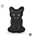 Chat noir 4cats