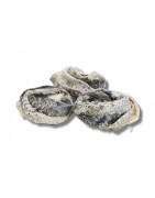 Anneau Ring donuts peau de saumon