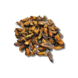 Moules séchées 100 g | Friandise naturelle chien