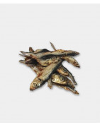 sardine 100g  ( Animalerie Is sur tille à 20 min de  DIJON en cote d'or)