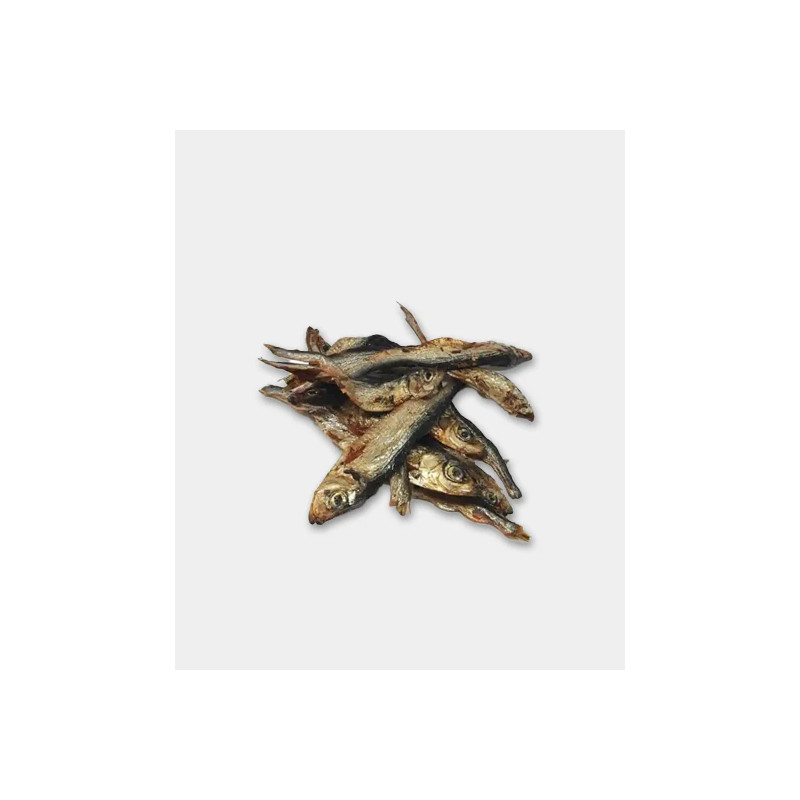 sardine 100g  ( Animalerie Is sur tille à 20 min de  DIJON en cote d'or)