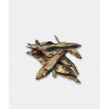 sardine 100g  ( Animalerie Is sur tille à 20 min de  DIJON en cote d'or)