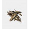 sardine 100g  ( Animalerie Is sur tille à 20 min de  DIJON en cote d'or)