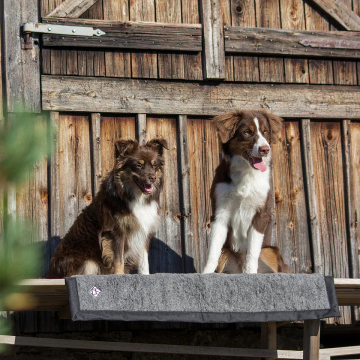 Couverture randonnée chien 70 × 90 cm | Mérinos & Cordura