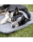 Panier pour chien en laine de mérinos HUNDLANDS