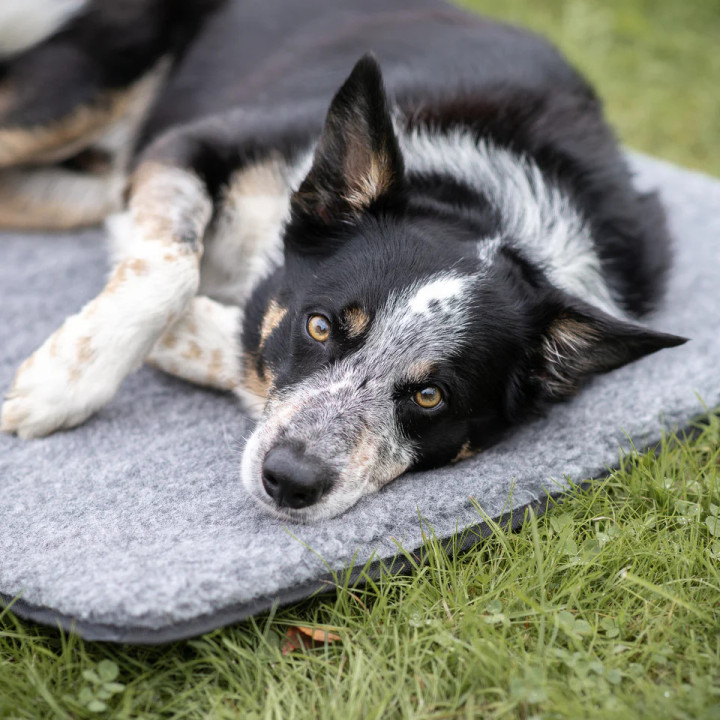 Tapis chien laine mérinos Thundra | Couchage premium
