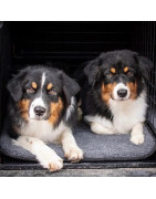 Panier pour chien en laine de mérinos HUNDLANDS