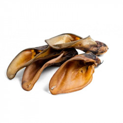 Oreille de boeuf sans poils