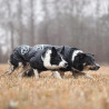 VESTE DE PLUIE TREKKO HUNDLANDS taille 36