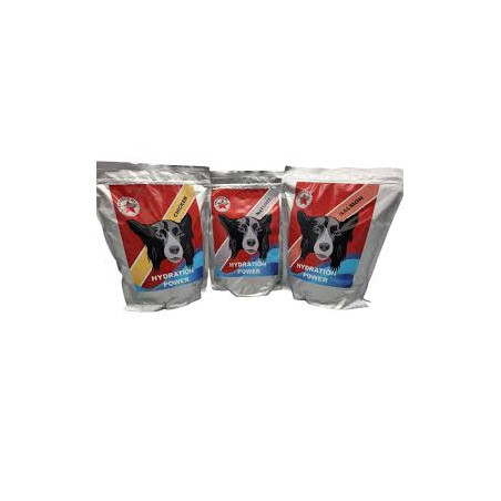 Hydratation Power fastdog 2.5kg préparation