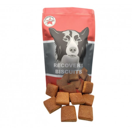 Recovery Biscuits de récupération pour chiens fastdog