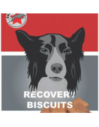 Recovery Biscuits de récupération pour chiens fastdog