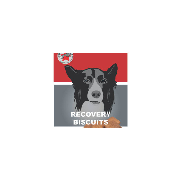 FastDog Recovery Biscuits | Récupération chien sportif