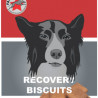 Recovery Biscuits de récupération pour chiens fastdog