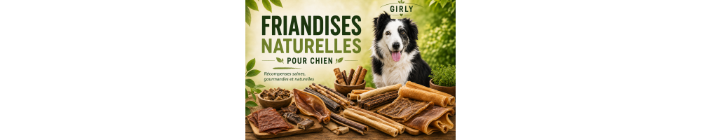 Friandises naturelles pour chien | Dijon & France