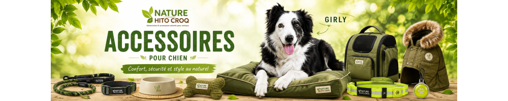 Accessoires chien | Promenade, voyage & confort - Dijon